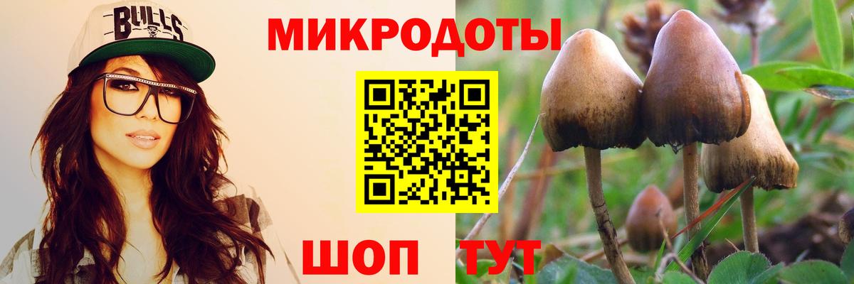 Галлюциногенные грибы Magic Shrooms  Вход с VPN  Галлюциногенные грибы Cubensis  Краснодар 